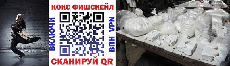 где купить наркотик  Вольск  Cocaine Fish Scale 