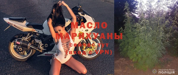 дмт Ельня