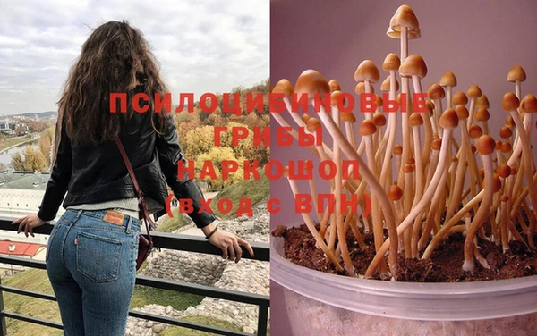 каннабис Балахна
