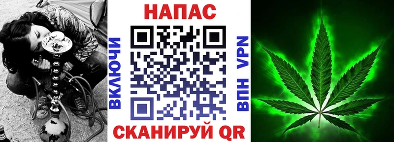 сколько стоит  Вольск  Конопля сатива 